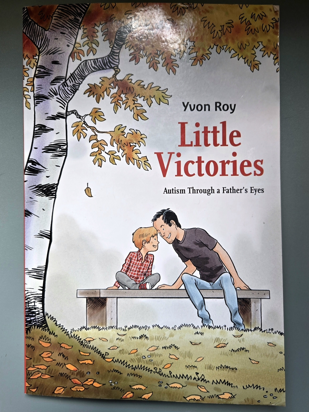 Little Victories: Autism Through A Dad's Eyes by Yvon Roy Graphic Novel Book - Picture 3 of 4